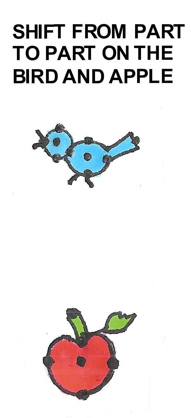 shift from part to part on the bird and apple shift from part to part on the bird and apple