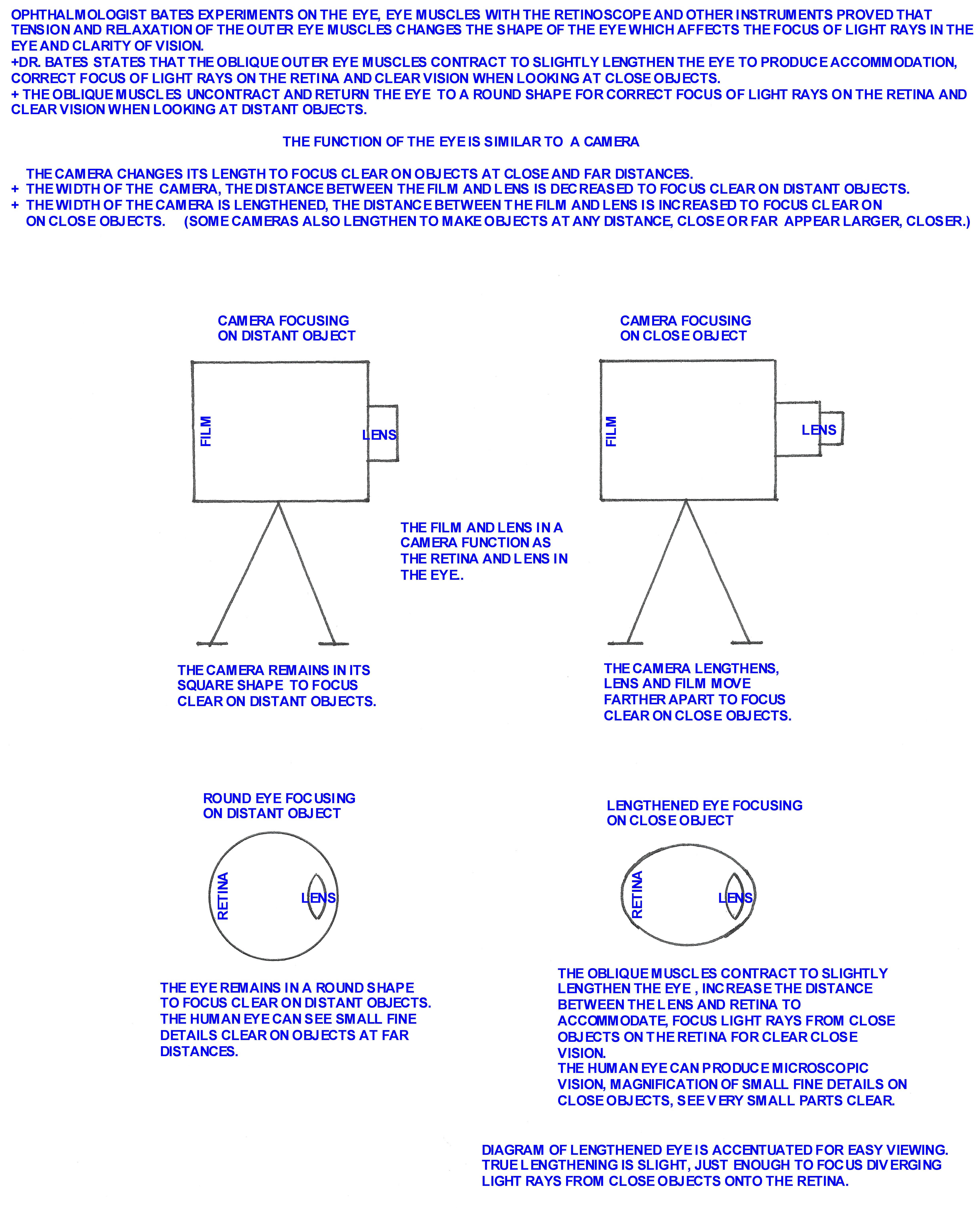 Eye Changes Length Like A Camera to Focus Close and Far