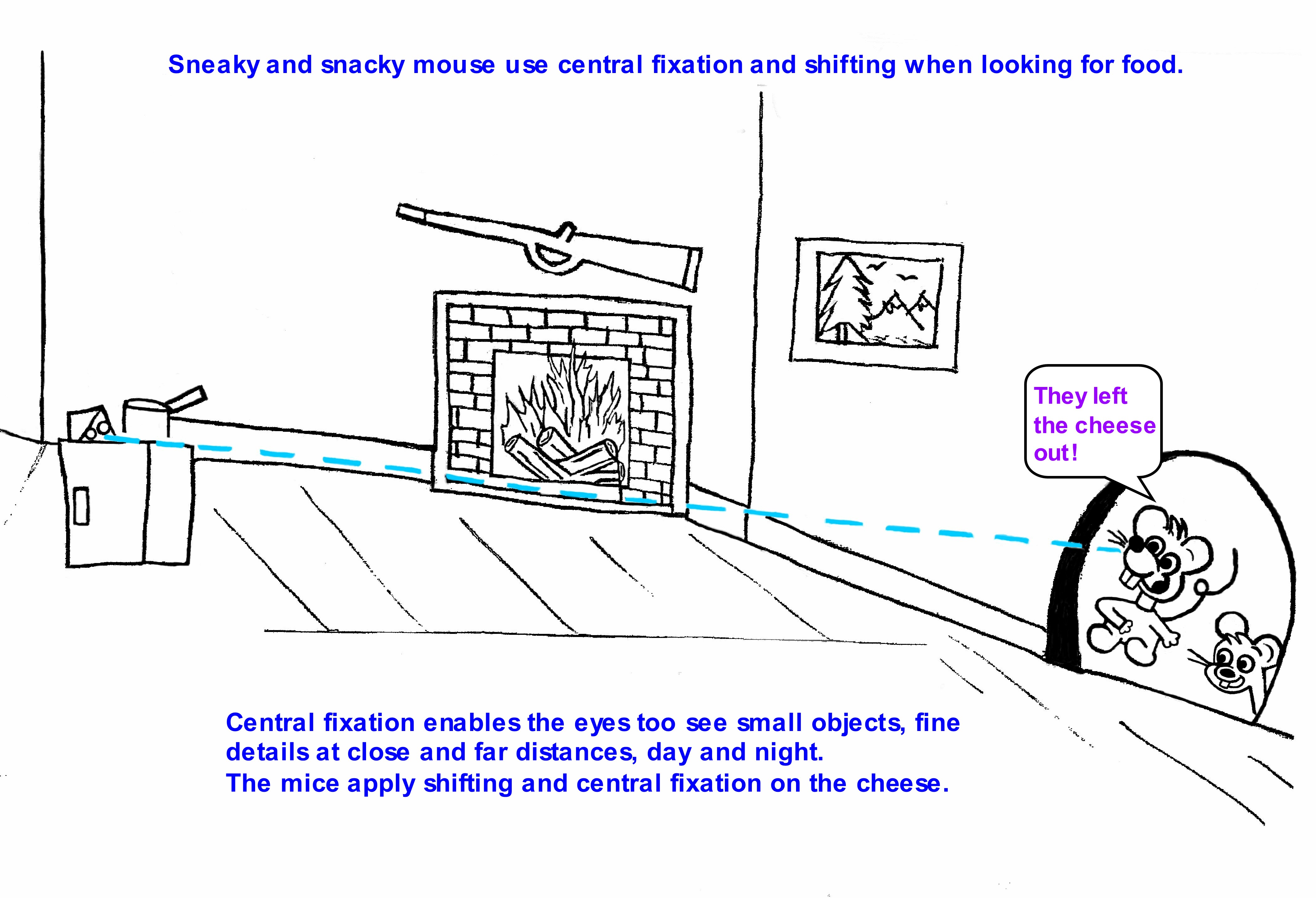 central_fixation_2_001.jpg
